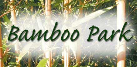 Glengarriff Bamboo Park