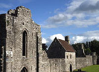 Boyle Abbey, Roscommon