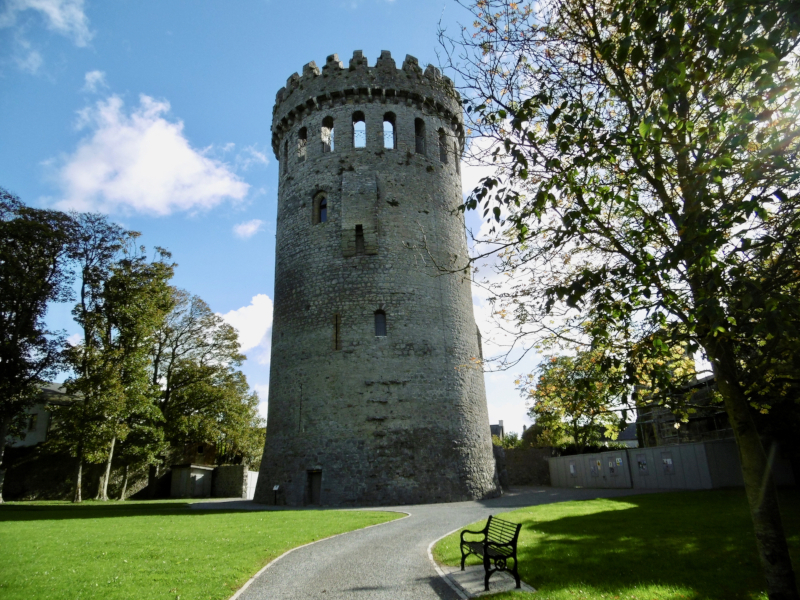 Nenagh Castle & Franciscan Friary